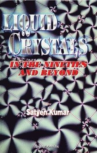 bokomslag Liquid Crystals In The Nineties And Beyond