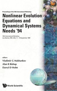 bokomslag Nonlinear Evolution Equations And Dynamical Systems Needs '94