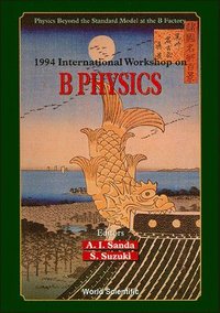 bokomslag B Physics: Physics Beyond The Standard Model At The B Factory - Proceedings Of The 1994 International Workshop