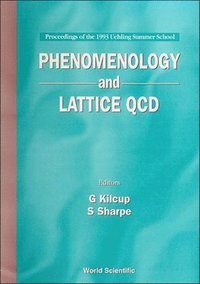 bokomslag Phenomenology And Lattice Qcd - Proceedings Of The 1993 Uehling Summer School