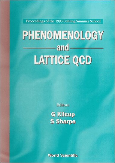 Stephen R Sharpe, G Kilcup, S Sharpe - PHENOMENOLOGY AND LATTICE QCD - PROCEEDINGS OF THE 1993 UEHLING SUMMER SCHOOL, Inbunden