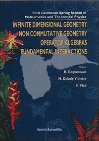 bokomslag Infinite Dimensional Geometry, Noncommutative Geometry, Operator Algebras And Fundamental Interactions - Proceedings Of The First Caribbean Spring School Of Mathematics And Theoretical Physics