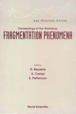 bokomslag Fragmentation Phenomena - Proceedings Of The Workshop