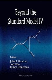 bokomslag Beyond The Standard Model Iv