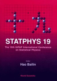 bokomslag Statphys 19 - Proceedings Of The 19th Iupap International Conference On Statistical Physics