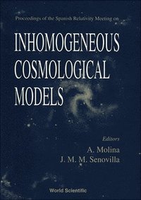 bokomslag Inhomogeneous Cosmological Models - Proceedings Of The Spanish Relativity Meeting