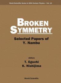 bokomslag Broken Symmetry: Selected Papers Of Y Nambu