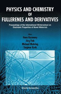 bokomslag Physics And Chemistry Of Fullerenes And Derivatives - Proceedings Of The International Winterschool On Electronic Properties Of Novel Materials
