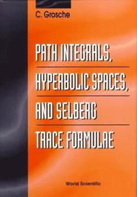 bokomslag Path Integrals, Hyperbolic Spaces And Selberg Trace Formulae