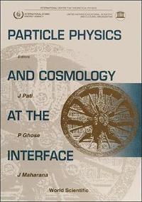 bokomslag Particle Physics And Cosmology At The Interface