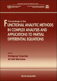 bokomslag Functional Analytic Methods In Complex Analysis And Applications To Partial Differential Equations
