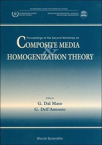bokomslag Composite Media And Homogenization Theory: Proceedings Of The Second Workshop