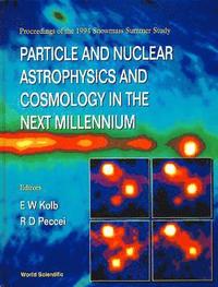 bokomslag Particle And Nuclear Astrophysics And Cosmology In The Next Millennium - Proceedings Of The 1994 Snowmass Summer Study