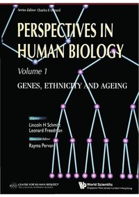 bokomslag Perspectives In Human Biology: Genes, Ethnicity And Ageing