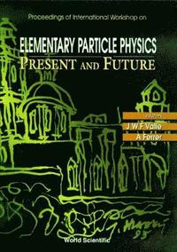 bokomslag Elementary Particle Physics: Present And Future - Proceedings Of The International Workshop