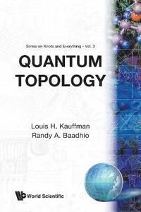 bokomslag Quantum Topology