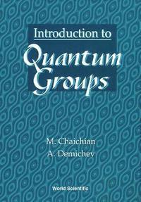 bokomslag Introduction To Quantum Groups