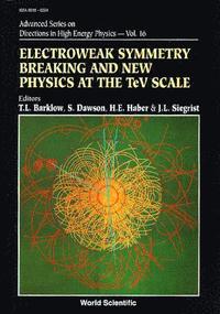 bokomslag Electroweak Symmetry Breaking And New Physics At The Tev Scale