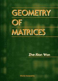 bokomslag Geometry Of Matrices: In Memory Of Professor L K Hua (1910 - 1985)