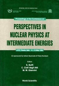 bokomslag Perspectives In Nuclear Physics At Intermediate Energies - Proceedings Of The Conference
