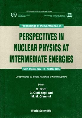 bokomslag Perspectives In Nuclear Physics At Intermediate Energies - Proceedings Of The Conference