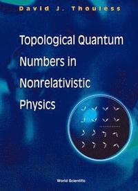 bokomslag Parallel Implementations Of Backpropagation Neural Networks On Transputers: A Study Of Training Set Parallelism