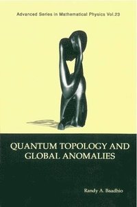 bokomslag Quantum Topology And Global Anomalies