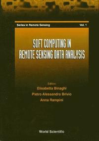bokomslag Soft Computing In Remote Sensing Data Analysis - Proceedings Of The International Workshop