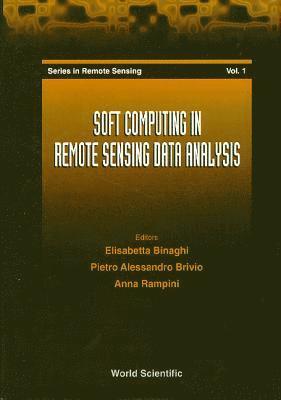 bokomslag Soft Computing In Remote Sensing Data Analysis - Proceedings Of The International Workshop