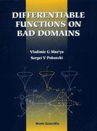 bokomslag Differentiable Functions On Bad Domains