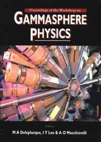 bokomslag Gammasphere Physics - Proceedings Of The Workshop