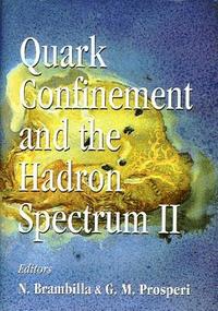 bokomslag Quark Confinement And The Hadron Spectrum Ii