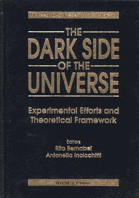 bokomslag Dark Side Of The Universe, The: Experimental Efforts And Theoretical Framework - Proceedings Of The Second Workshop