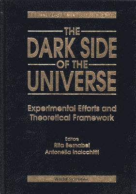 Dark Side Of The Universe, The: Experimental Efforts And Theoretical Framework - Proceedings Of The Second Workshop