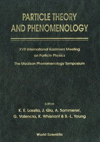 bokomslag Particle Theory And Phenomenology - Proceedings Of Xvii International Kazimierz Meeting On Particle Physics And Of The Madison Phenomenology Symposium