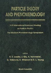 bokomslag Particle Theory And Phenomenology - Proceedings Of Xvii International Kazimierz Meeting On Particle Physics And Of The Madison Phenomenology Symposium