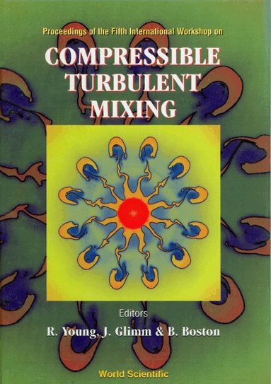 YOUNG GLIMM YOUNG B BOSTON, R Young, J Glimm, B Boston - COMPRESSIBLE TURBULENT MIXING - PROCEEDINGS OF FIFTH INTERNATIONAL WORKSHOP, Inbunden
