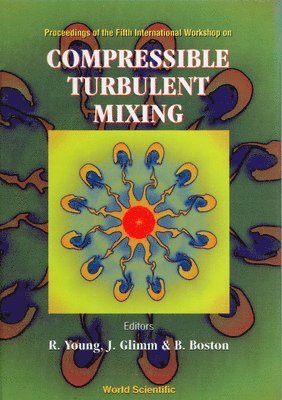 bokomslag Compressible Turbulent Mixing - Proceedings Of Fifth International Workshop