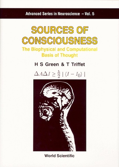 H S Green, T Triffet - SOURCES OF CONSCIOUSNESS: THE BIOPHYSICAL AND COMPUTATIONAL BASIS OF THOUGHT, Inbunden