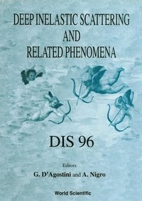 bokomslag Deep Inelastic Scattering And Related Phenomena - Dis 96