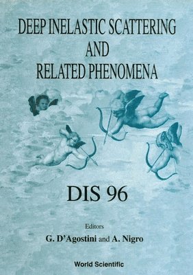 bokomslag Deep Inelastic Scattering And Related Phenomena - Dis 96