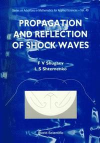 bokomslag Propagation And Reflection Of Shock Waves