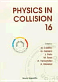 bokomslag Physics in Collision: Proceedings of the XVI International Conference