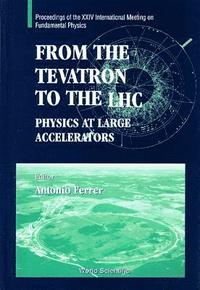 bokomslag From The Tevatron To The Lhc: Physics At Large Accelerators - Proceedings Of The Xxiv International Meeting On Fundamen