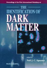 bokomslag IDENTIFICATION OF DARK MATTER