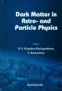 bokomslag Dark Matter In Astro- And Particle Physics, Dark '96