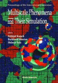 bokomslag Multiscale Phenomena and Their Simulation - Proceedings of the International Conference