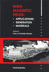 bokomslag High Magnetic Fields, Applications, Generation and Materials: Proceedings of the International Workshop