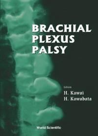 bokomslag Brachial Plexus Palsy