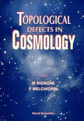 bokomslag TOPOLOGICAL DEFECTS IN COSMOLOGY